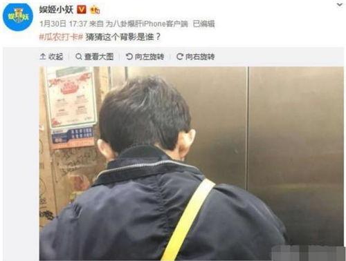 卓伟最新爆料何炅张一山,卓伟最新爆料揭示娱乐圈不为人知的一面  第1张