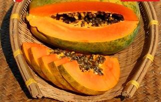 免费吃瓜入口直达  第2张